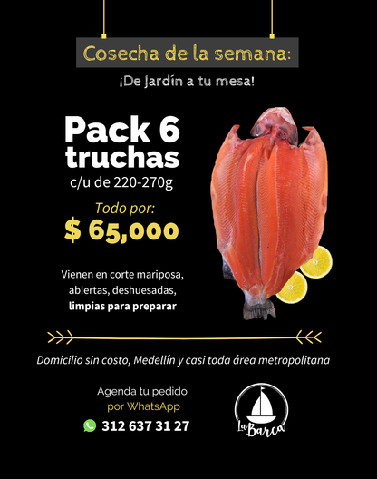 Trucha mariposa (x6)